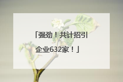 强劲！共计招引企业632家！