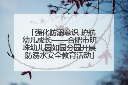 强化防溺意识 护航幼儿成长——合肥市明珠幼儿园如园分园开展防溺水安全教育活动