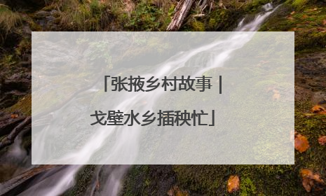 张掖乡村故事｜戈壁水乡插秧忙