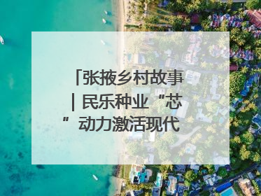 张掖乡村故事｜民乐种业“芯”动力激活现代农业新活力