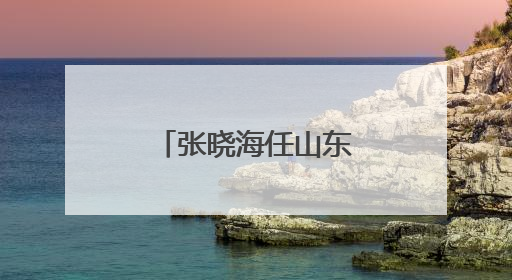 张晓海任山东黄金集团有限公司董事长