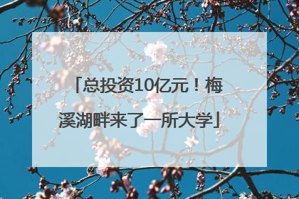 总投资10亿元！梅溪湖畔来了一所大学
