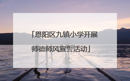 恩阳区九镇小学开展师德师风宣誓活动
