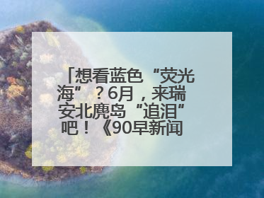 想看蓝色“荧光海”？6月，来瑞安北麂岛“追泪”吧！《90早新闻》来了