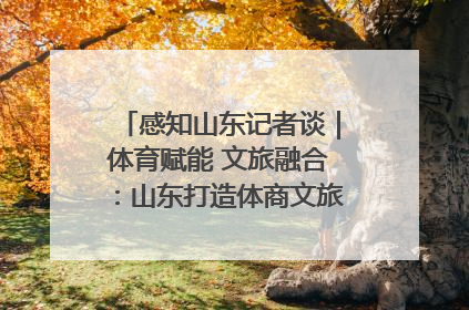 感知山东记者谈｜体育赋能 文旅融合：山东打造体商文旅融合发展新格局