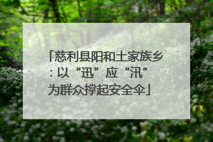 慈利县阳和土家族乡：以“迅”应“汛” 为群众撑起安全伞