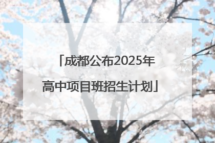 成都公布2025年高中项目班招生计划