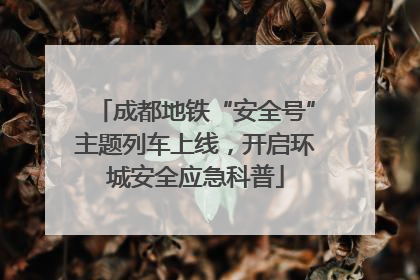 成都地铁“安全号”主题列车上线，开启环城安全应急科普