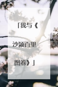 我与《沙颍百里图卷》