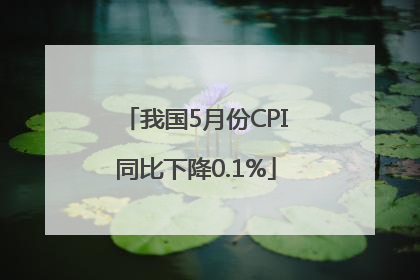 我国5月份CPI同比下降0.1%