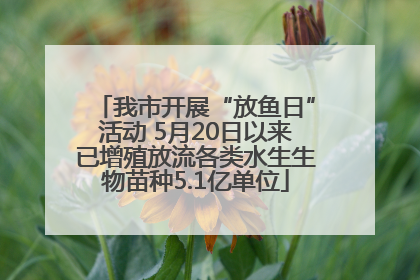 我市开展“放鱼日”活动 5月20日以来已增殖放流各类水生生物苗种5.1亿单位