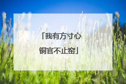 我有方寸心 铜官不止窑