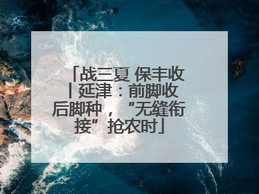 战三夏 保丰收丨延津：前脚收 后脚种，“无缝衔接”抢农时