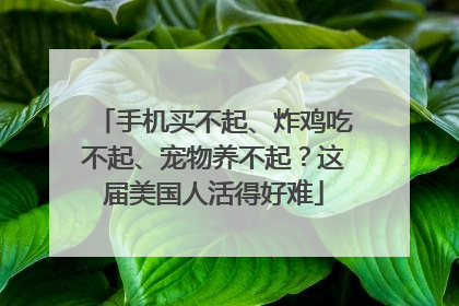 手机买不起、炸鸡吃不起、宠物养不起？这届美国人活得好难