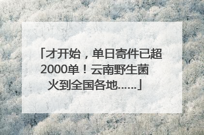 才开始，单日寄件已超2000单！云南野生菌火到全国各地……