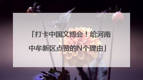 打卡中国文博会！给河南中牟新区点赞的N个理由