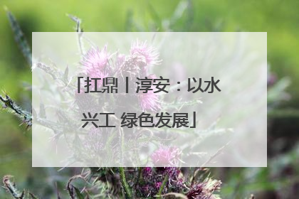 扛鼎丨淳安：以水兴工 绿色发展