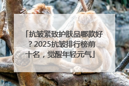 抗皱紧致护肤品哪款好？2025抗皱排行榜前十名，觉醒年轻元气