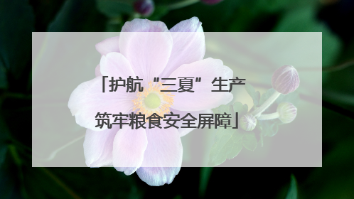 护航“三夏”生产 筑牢粮食安全屏障
