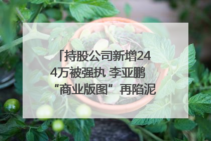 持股公司新增244万被强执 李亚鹏“商业版图”再陷泥潭？｜科技观察