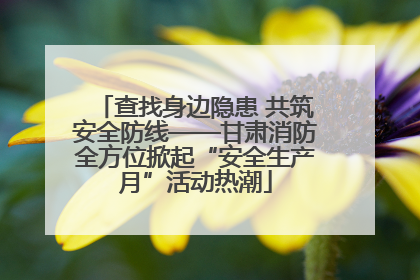 查找身边隐患 共筑安全防线——甘肃消防全方位掀起“安全生产月”活动热潮