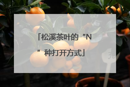 松溪茶叶的“N”种打开方式