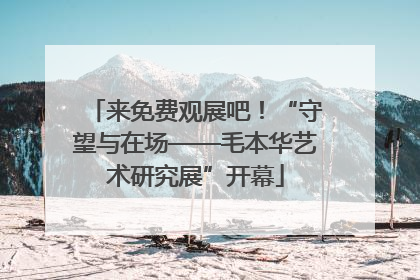 来免费观展吧！“守望与在场——毛本华艺术研究展”开幕