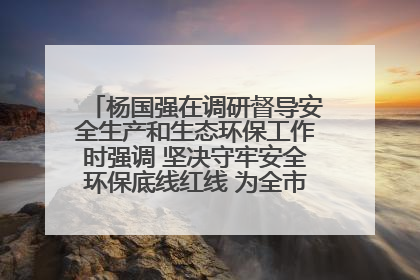 杨国强在调研督导安全生产和生态环保工作时强调 坚决守牢安全环保底线红线 为全市经济社会高质量发展提供坚强保障