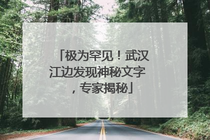 极为罕见！武汉江边发现神秘文字，专家揭秘