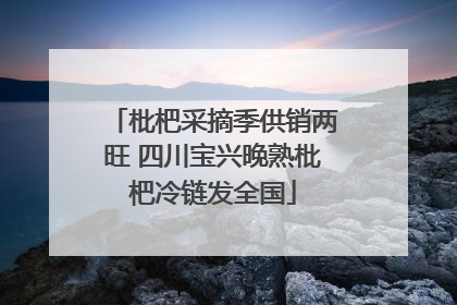 枇杷采摘季供销两旺 四川宝兴晚熟枇杷冷链发全国