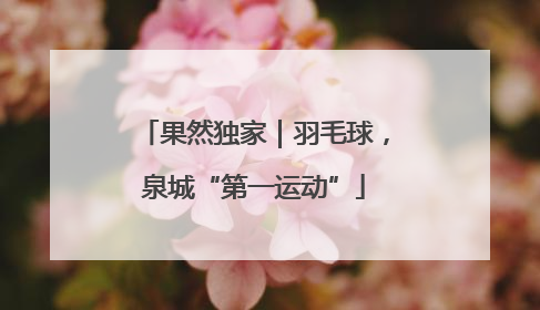果然独家｜羽毛球，泉城“第一运动”