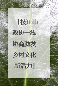 枝江市政协一线协商激发乡村文化新活力