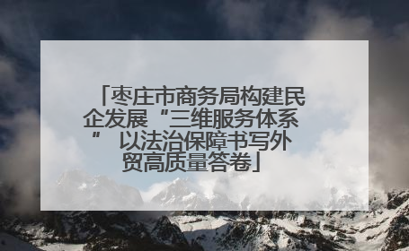 枣庄市商务局构建民企发展“三维服务体系” 以法治保障书写外贸高质量答卷