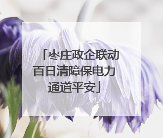 枣庄政企联动百日清障保电力通道平安