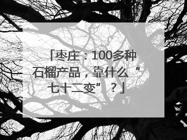 枣庄：100多种石榴产品，靠什么“七十二变”？