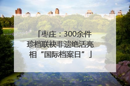 枣庄：300余件珍档联袂非遗绝活亮相“国际档案日”