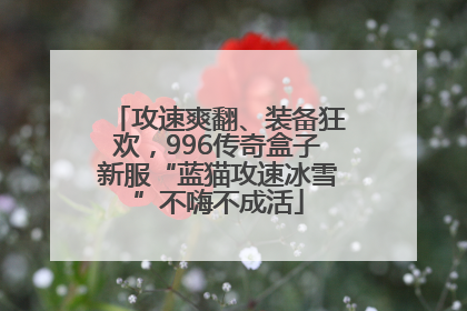 攻速爽翻、装备狂欢，996传奇盒子新服“蓝猫攻速冰雪”不嗨不成活