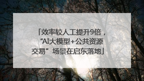 效率较人工提升9倍，“AI大模型+公共资源交易”场景在启东落地