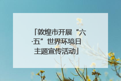 敦煌市开展“六·五”世界环境日主题宣传活动