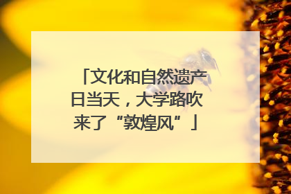 文化和自然遗产日当天,大学路吹来了“敦煌风”
