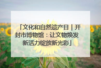 文化和自然遗产日｜开封市博物馆：让文物焕发新活力绽放新光彩