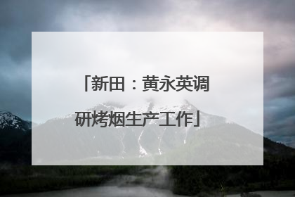 新田：黄永英调研烤烟生产工作
