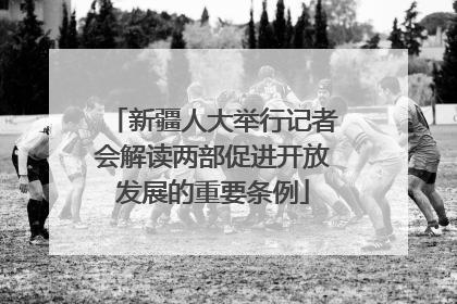 新疆人大举行记者会解读两部促进开放发展的重要条例