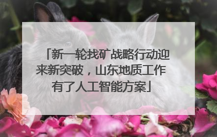 新一轮找矿战略行动迎来新突破，山东地质工作有了人工智能方案