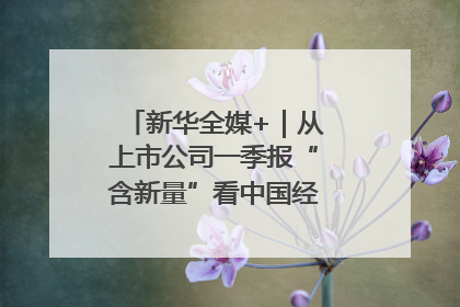 新华全媒+｜从上市公司一季报“含新量”看中国经济发展向“新”