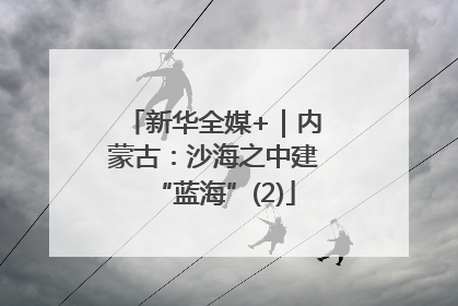 新华全媒+｜内蒙古：沙海之中建“蓝海”(2)