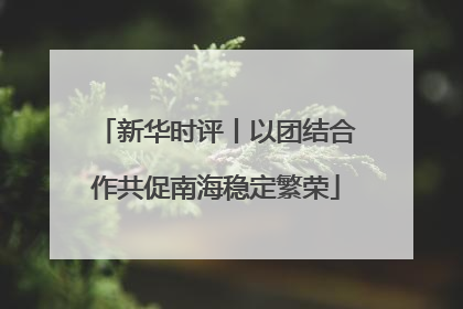 新华时评丨以团结合作共促南海稳定繁荣