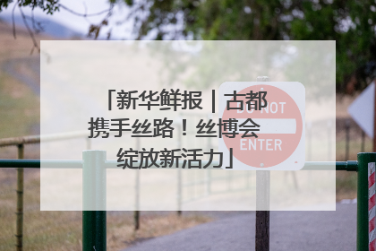 新华鲜报｜古都携手丝路！丝博会绽放新活力