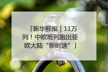 新华鲜报｜11万列！中欧班列跑出亚欧大陆“新时速”