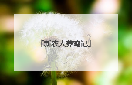 新农人养鸡记